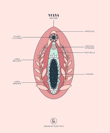 Screen Shot 2019-02-19 at 3.53.53 PM.png