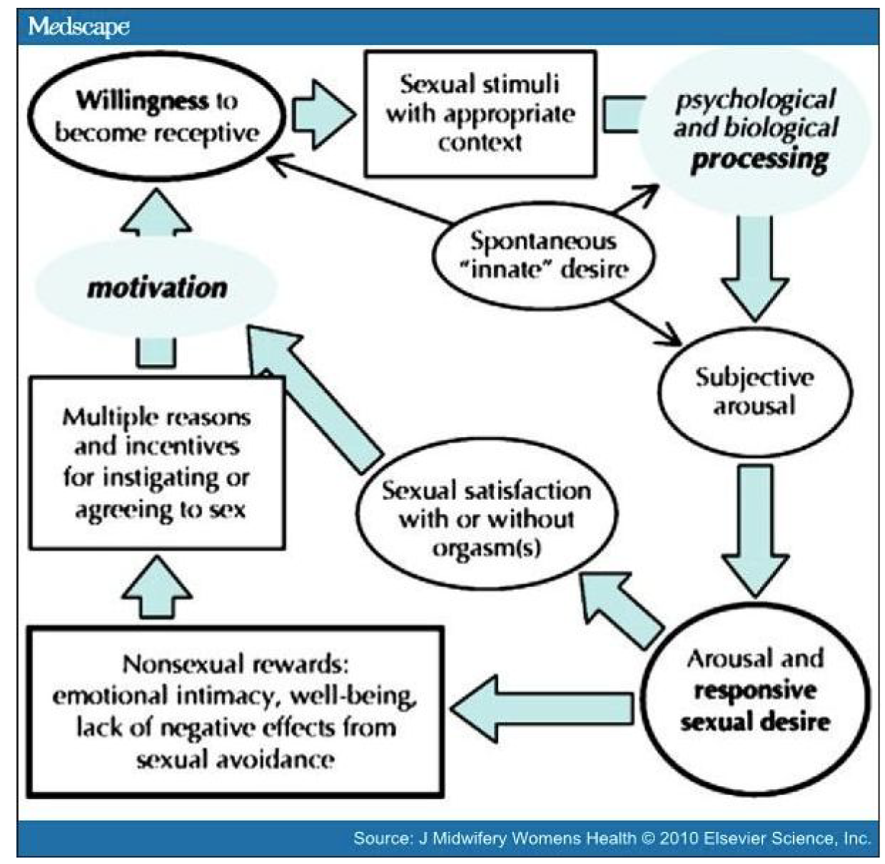 Basson’s model of responsive desire